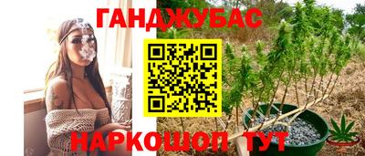 сатива Бугуруслан