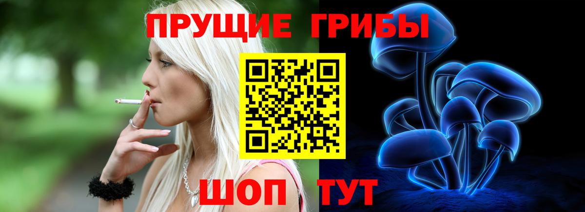 Псилоцибиновые грибы мицелий  Вход с VPN  Сунжа 
